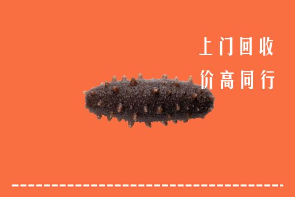 重庆市云阳回收海参